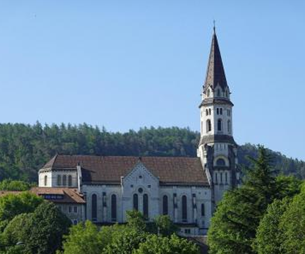This sideview of the Basilica of the Visitation in Annecy, France shows a light-colored stone or brick structure with a deep brown roof. A tall steeple sits high on the right (the front) and it it nestled among the treetops on a hill or mountain.