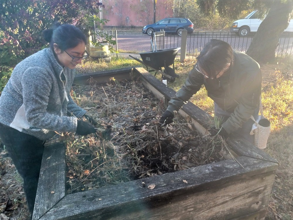 Students working in a community garden
